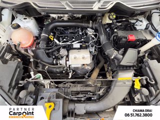 FORD Ecosport 1.0 ecoboost titanium s&s 125cv my20.25 10