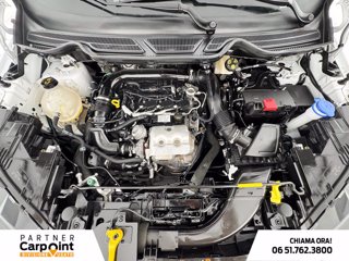 FORD Ecosport 1.0 ecoboost active s&s 125cv 11
