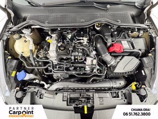 FORD Fiesta 5p 1.0 ecoboost h st-line 125cv 11