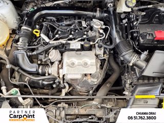 FORD Ecosport 1.0 ecoboost active s&s 125cv 11