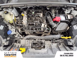 FORD Puma 1.0 ecoboost h st-line s&s 125cv 10