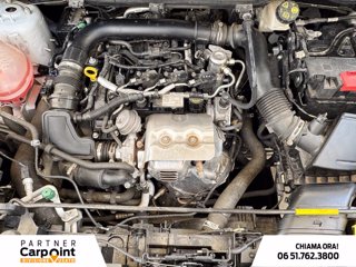 FORD Ecosport 1.0 ecoboost active s&s 125cv 11
