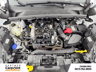 FORD Puma 1.0 ecoboost h st-line s&s 125cv 11