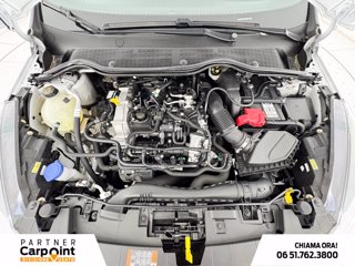 FORD Fiesta 5p 1.0 ecoboost h st-line 125cv 11