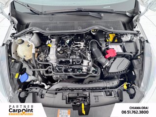 FORD Fiesta 5p 1.0 ecoboost h titanium 125cv 11
