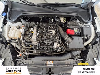 FORD Focus 1.0t ecoboost h st-line x 155cv powershift 11
