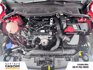 FORD Fiesta 5p 1.1 plus 75cv 11