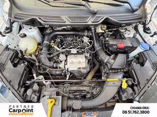 FORD Ecosport 1.0 ecoboost active s&s 125cv 11