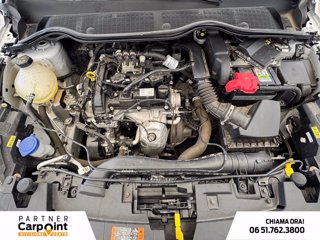 FORD Fiesta 5p 1.1 titanium gpl 75cv GPL 11