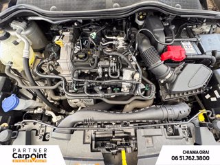 FORD Fiesta active 1.0 ecoboost h 125cv 11