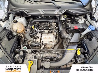 FORD Ecosport 1.0 ecoboost active s&s 125cv 11