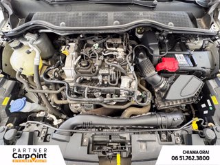 FORD Fiesta active 1.0 ecoboost h 125cv 11