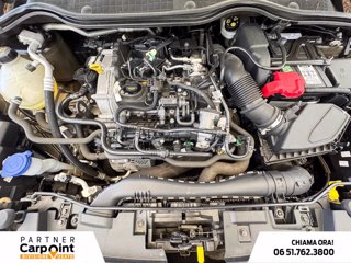 FORD Fiesta 5p 1.0 ecoboost h st-line 125cv 11