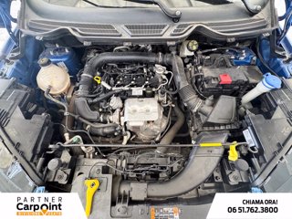 FORD Ecosport 1.0 ecoboost active s&s 125cv 11
