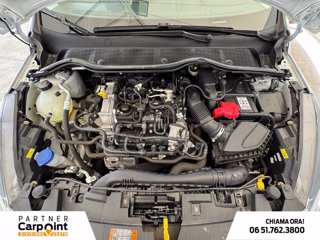 FORD Fiesta active 1.0 ecoboost h x 125cv 11