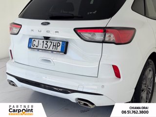 FORD Kuga 1.5 ecoblue st-line 2wd 120cv auto 17