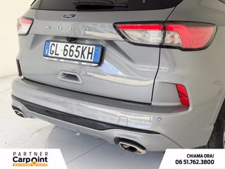 FORD Kuga 1.5 ecoblue st-line 2wd 120cv 16