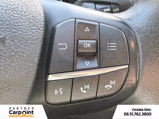 FORD Transit 290 2.0 tdci mhev 130cv trend l2h2 e6.2 19