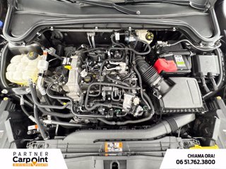 FORD Focus active 1.0t ecoboost h x 125cv 12