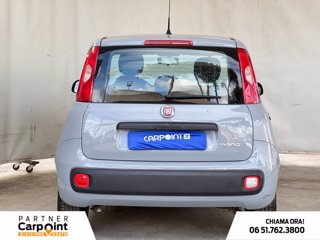 FIAT Panda 1.0 firefly hybrid city life s&s 70cv 3