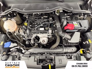 FORD Fiesta 5p 1.1 titanium 75cv 11