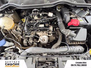 FORD Fiesta 5p 1.1 titanium gpl 75cv GPL 11