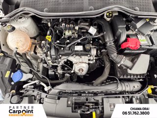 FORD Fiesta 5p 1.1 titanium gpl 75cv GPL 11