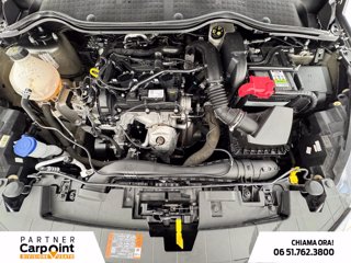 FORD Fiesta 5p 1.1 titanium 75cv 11
