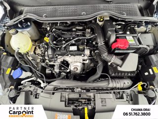 FORD Fiesta 5p 1.1 titanium 75cv 11