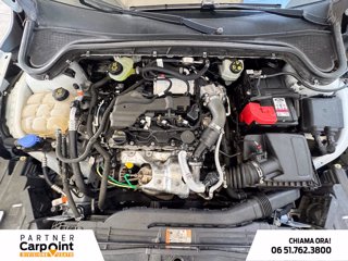 FORD Focus active 1.5 ecoblue x 120cv auto 11