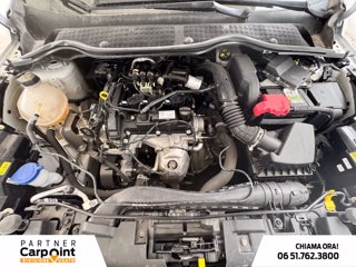 FORD Fiesta 5p 1.1 titanium gpl 75cv GPL 11