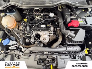 FORD Fiesta 5p 1.1 titanium gpl 75cv GPL 10