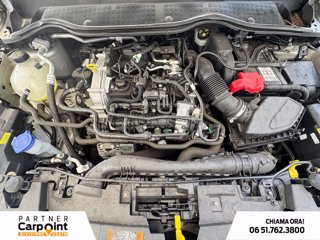 FORD Fiesta 5p 1.0 ecoboost h titanium 125cv 11