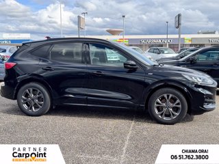 FORD Kuga 1.5 ecoblue st-line 2wd 120cv auto 4